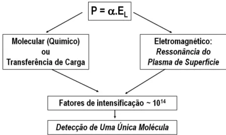 Figura  4.  Diagrama  dos  mecanismos  de  intensificação  para  o  efeito  SERS.  A  expressão  