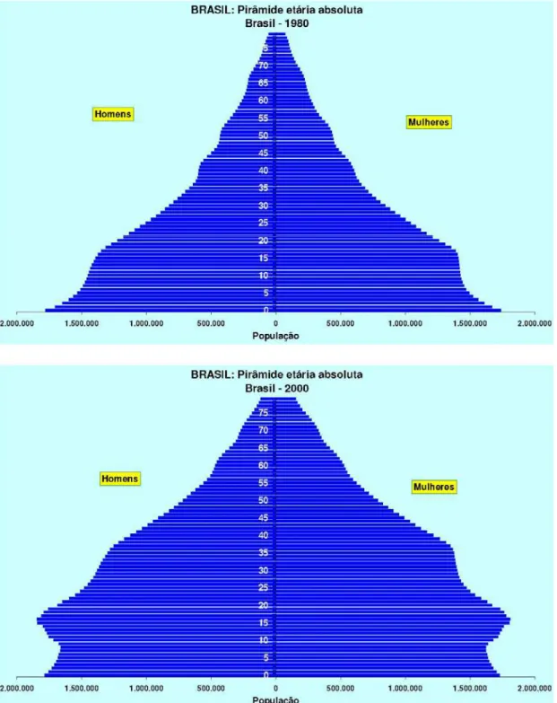 Gráfico ii: pirâmides etárias absolutas 1980 e 2000. (IBGE, 2004, p. 69) 