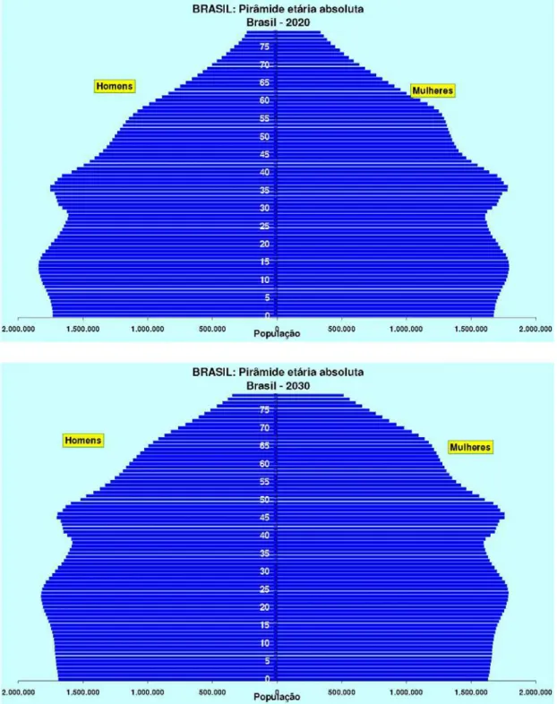Gráfico iv: Pirâmides etárias absolutas 2020 e 2030 (IBGE, 2004, p. 71) 
