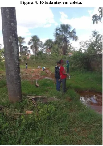 Figura 4: Estudantes em coleta. 