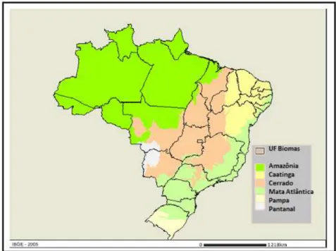 Figura 1. Mapa dos biomas brasileiros (Fonte: IBGE, 2009). 