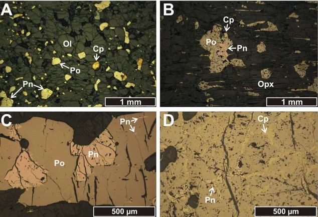 Fig.  1.11  (A)  Sulfide  blebs  from  the  disseminated  ore  included  in  a  large  olivine  grain