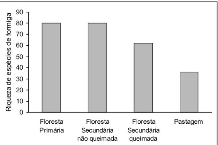 Figura 3. Riqueza de espécies de formigas na floresta primária e em áreas em regeneração.