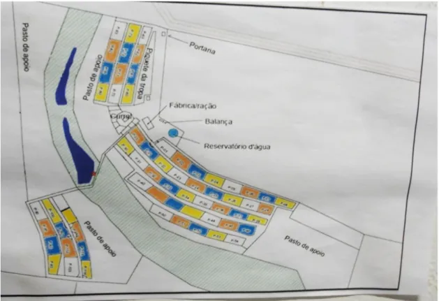 Figura 5: Mapa da Unidade Beatriz (confinamento). Fazendas Beira Alta, MT.