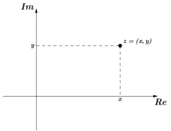Figura 2.2: Imagem de z=(x,y)