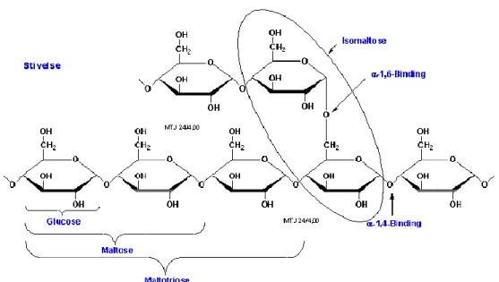 Figura 2.16: Estruturas da glicose, m Fonte: http://www.biosite.dk/leksi