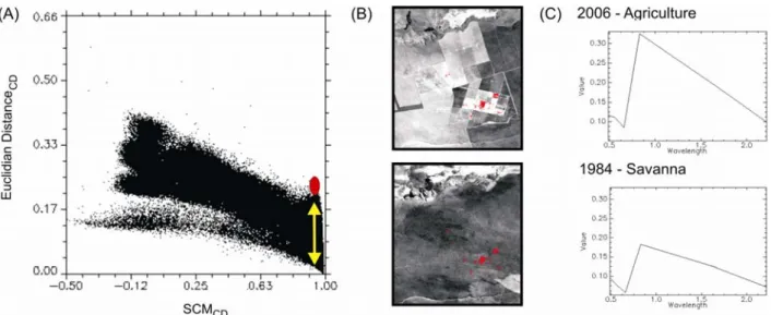 Figure 9.  ( a) Spectral Correlation Mapper for change detection (SCM CD ) versus Euclidian  distance scatterplot showing a data point having a high SCM value and low Euclidian  distance (red spot); (b) 1984 and 2006 images with points having the (SCM CD ,