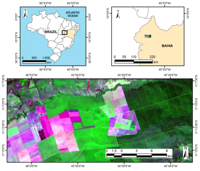 Figure 3. Study area. Landsat TM (bands 3, 4, 5 as RGB) from 17 June 2006 (path 220, row 68)
