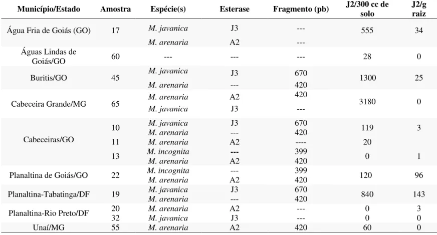 Tabela 5. Quantificação e identificação de populações de Meloidogyne spp. coletadas na RIDE
