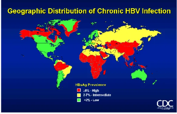 Figura 1: Distribuição geográfica da infecção crônica pela HBV. Mapa mostrando em  vermelho a alta prevalência de infecção crônica pelo vírus da hepatite B, em amarelo  intermediária e em verde baixa prevalência de Hepatite B no mundo