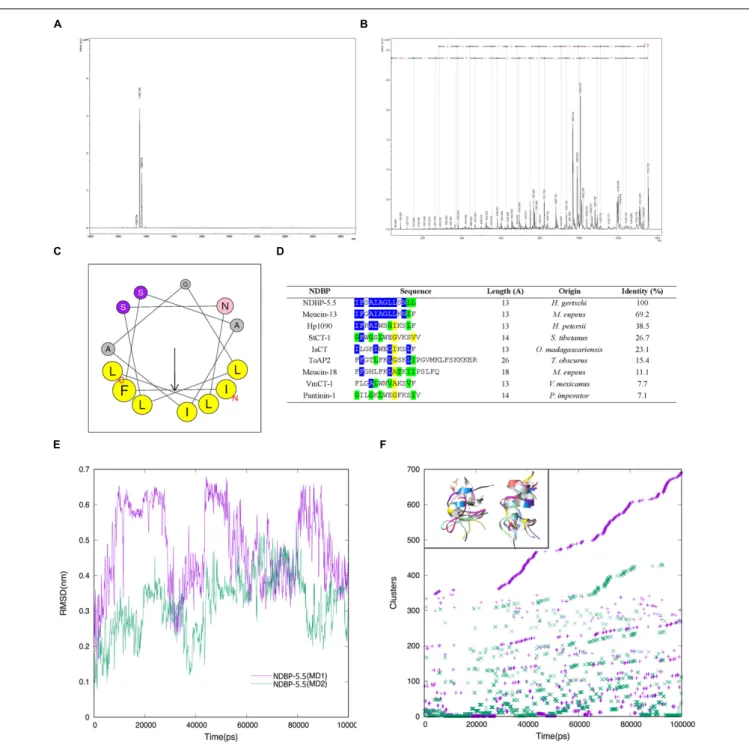 FIGURE 1 | Spectrophotometry and bioinformatic analysis of the NDBP-5.5. (A) Mass spectrometry of the synthesized NDBP-5.5 peptide obtained by MALDI TOF/TOF