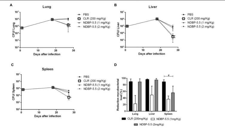 FIGURE 5 | Bacillary load reduction in IFN-γ KO mice infected with M. abscessus subsp