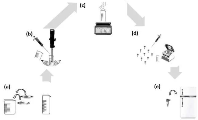 Figura  6:  Simples  emulsificação  e  evaporação  do  solvente  para  preparação  de  NP  de  PLGA