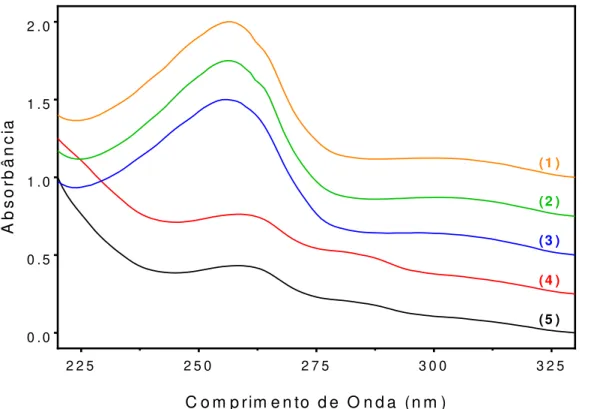 Figura 8: Espectros de absorção na região UV-Vis das NP com CHB. Na sequência: (1) NP.CHB, (2)  NP.CHB.EDC/NHS, (3) NP.CHB.EDC/NHS.PEP, (4) NP.CHB.DOPA e (5) NP.CHB.DOPA.PEP