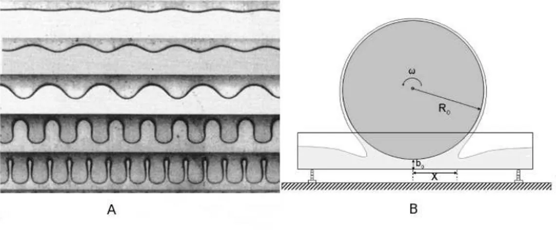 Figura 2.2: Franjas de forma¸c˜ao de padr˜ao no experimento da instabilidade do impressor