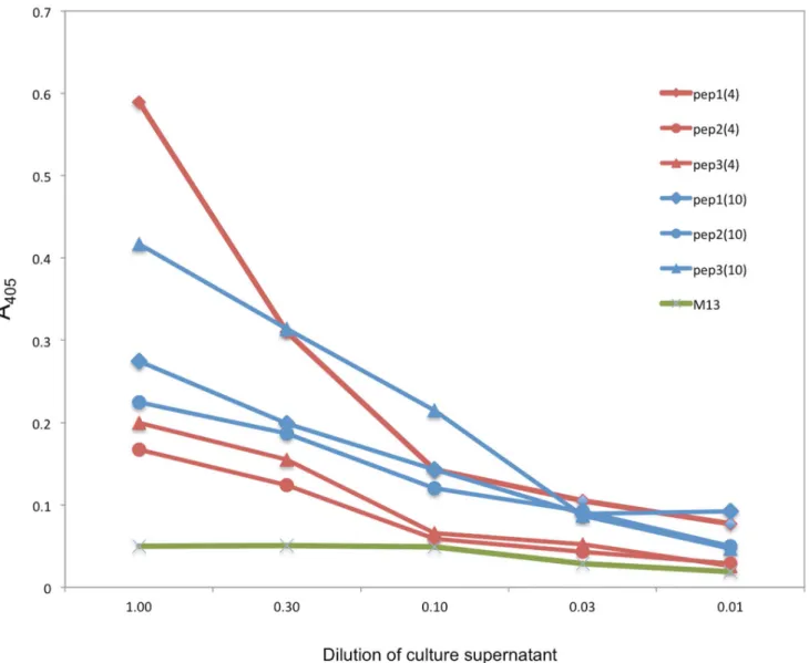 Figure 2. Binding of HCDR3 phage clones to ssDNA. Individual phage particles derived from chosen V H 4 and V H 10 pools were tested