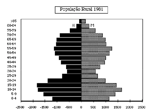 Figura 2.3 - Pirâmide das idades na região da Terra FriaFigura 2.2 - Pirâmide das idades na região da Terra Fria