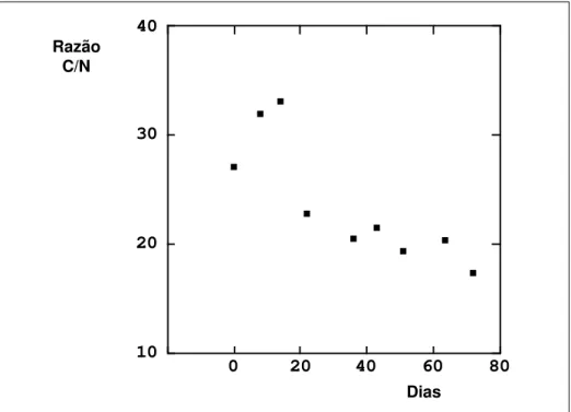 Gráfico 3.13 – Processo 1: Evolução dos valores da razão C/N durante o período de observação.
