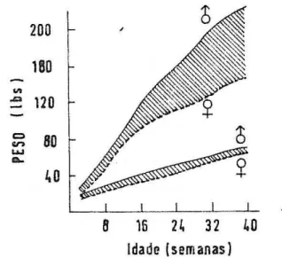 Figura  9 .  Curva  de  crescimento  de  ovinos,  influência  pela  interac-