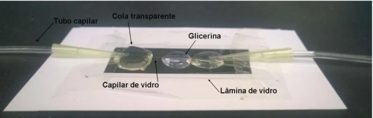 Figura 17: Dispositivo constituído com um capilar de vidro utilizado para efetuar as visualizações  do escoamento