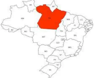 Figura 04: Mapa do Brasil enfatizando o estado do Pará na cor vermelha 