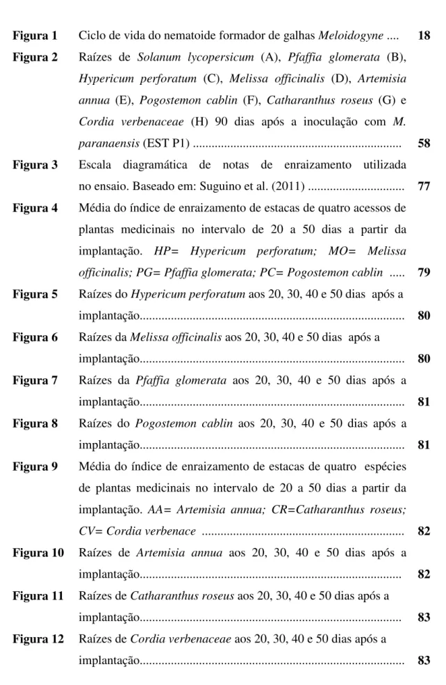 Figura 1  Ciclo de vida do nematoide formador de galhas Meloidogyne ....  18  Figura 2  Raízes  de  Solanum  lycopersicum  (A),  Pfaffia  glomerata  (B), 