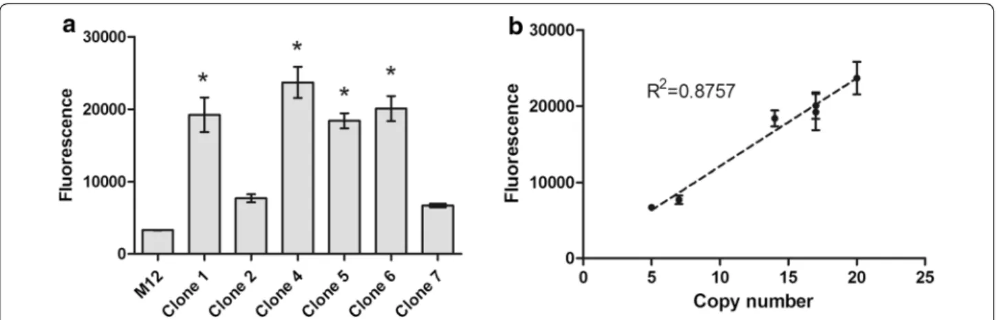 Fig. 6  Intracellular EGFP production. a Flow cytometry analysis of the cells positive for EGFP production