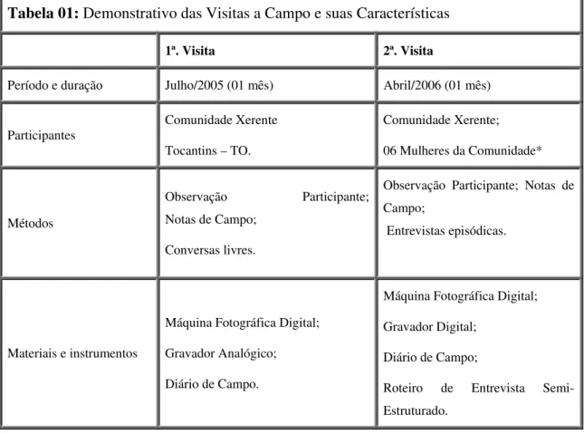 Tabela 01: Demonstrativo das Visitas a Campo e suas Características 