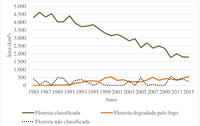 Figura 2.7 - Detalhamento da classe Floresta: área de floresta classificada, floresta  degradada e área de floresta não classificada (ano anterior como floresta e ano presente 