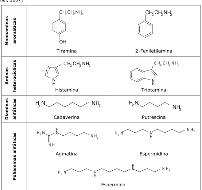 Tabela 1 – Estrutura química das aminas biogénicas mais frequentes em alimentos. [Fonte: