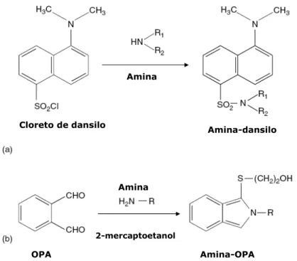 Figura 1 – Representação das  reacções de derivatização das aminas  biogénicas com  o cloreto de dansilo (a) e com o o-ftaldialdeído (b)