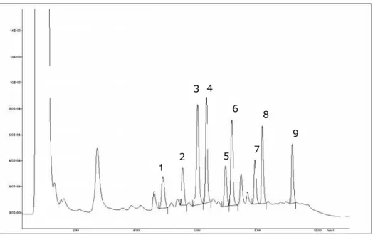 Figura 3 –  Cromatograma  de  uma  mistura  de padrões  com  uma  concentração  de 100g/ml derivatizada  com  cloreto  de  dansilo  a  254nm (1-  triptamina,  4,9min;  2-  -feniletilamina, 5,6min; 3- putrescina, 6,0min; 4- cadaverina, 6,3min; 5- histamin