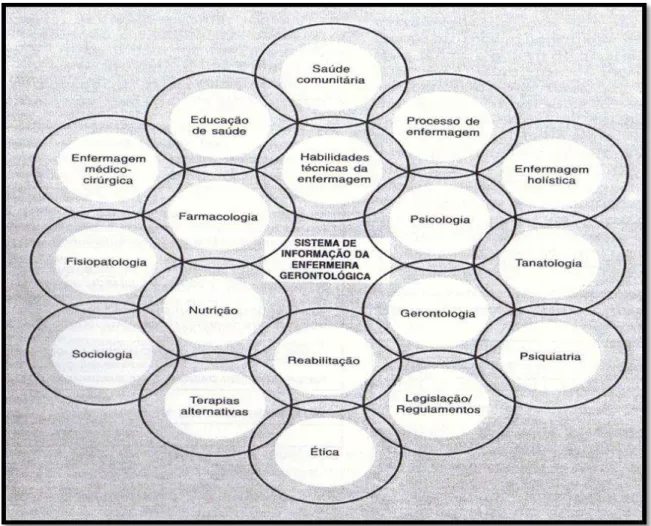 Figura 4. Sistema de informação do enfermeiro gerontológico  Fonte: Eliopoulos (2005, p