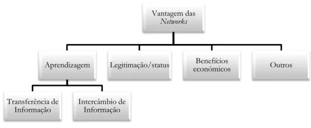 Figura 6- Vantagens das Networks 