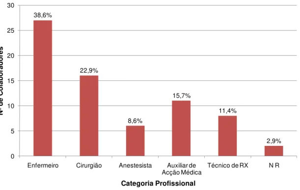 Figura 1. Distribuição da categoria profissional dos colaboradores do BO.  
