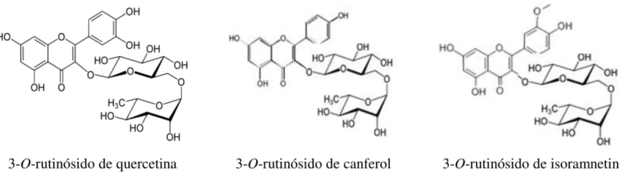 Figura 1.1 Estruturas químicas dos três compostos fenólicos identificados em A. acutifolius