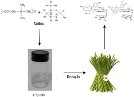 Figura 1.3. Representação de um processo de extração utilizando um solvente eutéctico