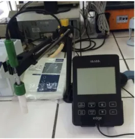 Figure 4. pH meter (Hanna Instruments) 