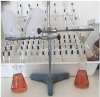 Figure 5. Filtration of the samples from bioleaching 