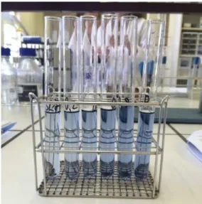 Figure 6. Blank and standard solutions for phosphorus determination by UV-Vis 