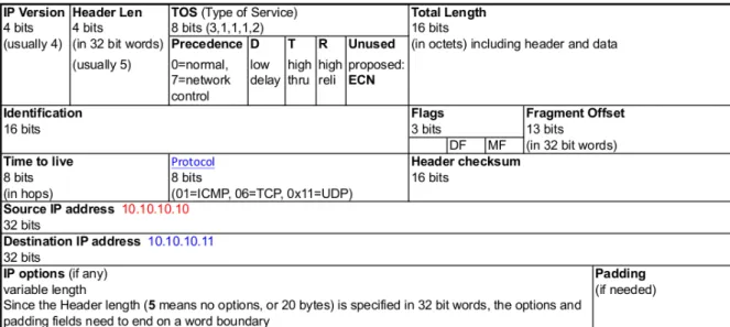 Figura 3.4: IP packet header