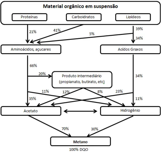Figura 1 - Degradação da matéria orgânica por digestão anaeróbia por digestão anaeróbia