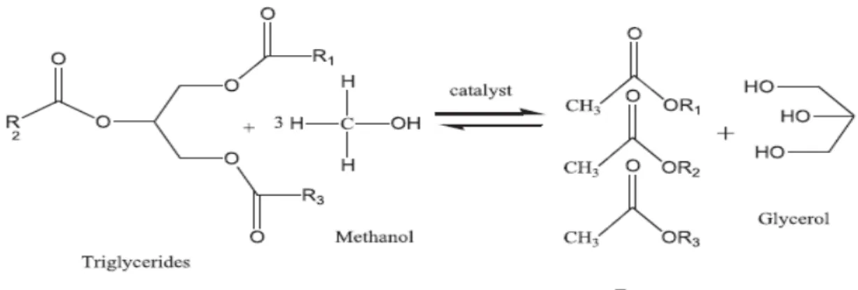 Figure 7. Biodiesel synthesis by transesterification process from vegetable oils with methanol [Ullah  et al., 2014]