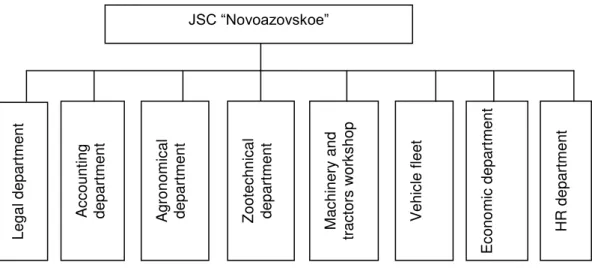 Figure 3. Organizational structure of JSC  “Novoazovskoe” . 
