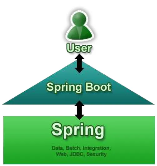 Figure 2.10: Surface field for users to extract value from the rest of Spring.