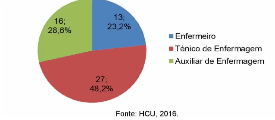 Figura  8 -   Distribuição  dos trabalhadores  de  enfermagem  por cargo  que  afirmaram  ter sofrido acidente de trabalho com  perfurocortante de 2013 a 2016,  HCU -  2016.