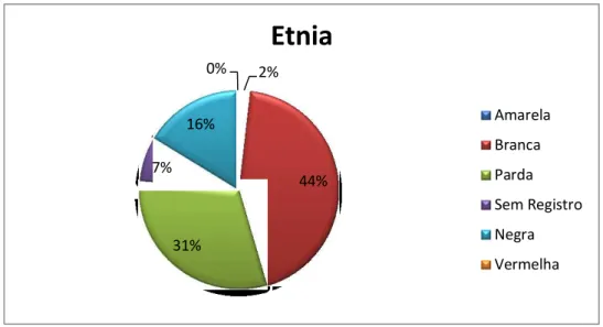 Gráfico 2: Etnia dos indivíduos atendidos de 2014 a 2016 