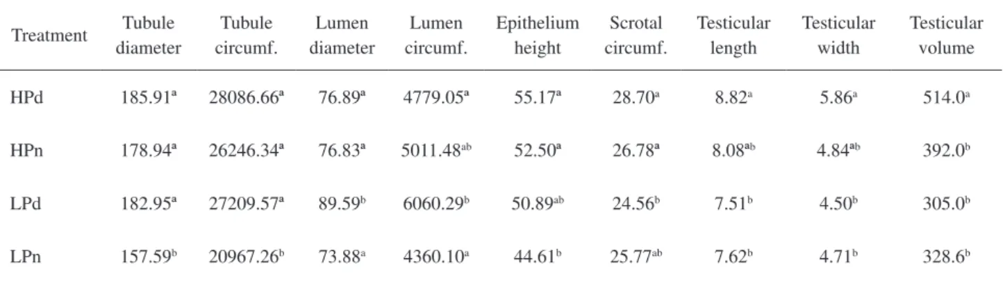 Table  2  shows  the  morphometrics  of  the  seminiferous tubules and testicles.  Photomicro-graphy of seminiferous tubules of animals from  the LPn and HPd groups are shown in Figures 2  and  3,  respectively