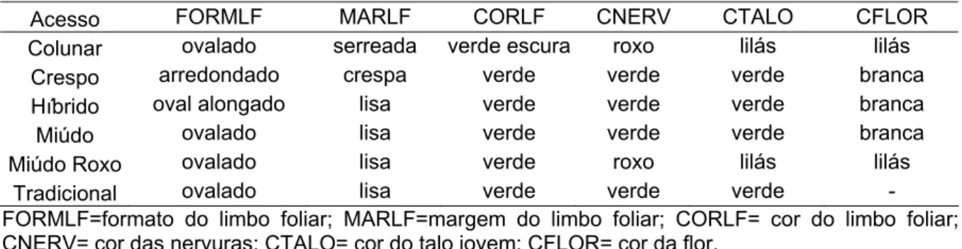 Tabela 4.2 - Características morfológicas qualitativas de seis acessos de manjericão (Ocimum spp)  comercializados em Brasília, DF e Salvador, BA