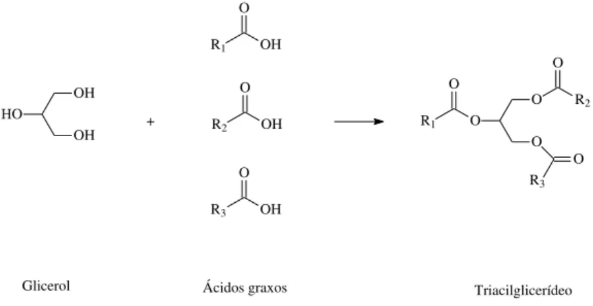 Figura 4. Estrutura química dos triacilglicerídeos. 